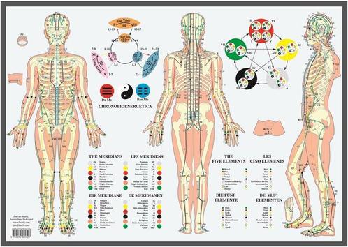 Anatomie poster meridianen en vijf elementen (NL, EN, DU,..., Sport en Fitness, Overige Sport en Fitness, Verzenden