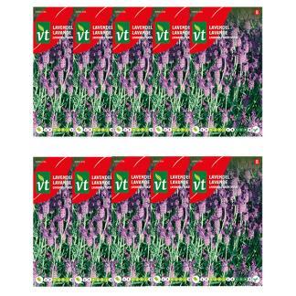Lavendel zaad | VT | 10 stuks, Tuin en Terras, Bloembollen en Zaden, Verzenden