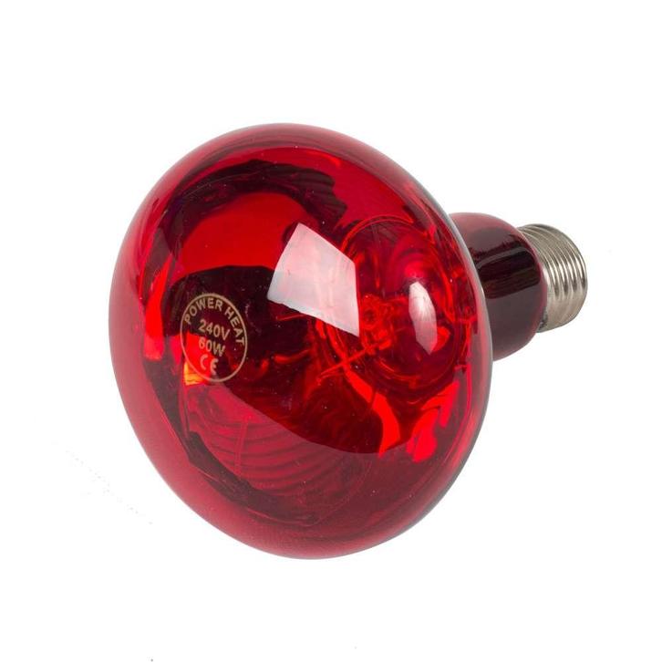 Infrarood warmtelamp 60 watt – Efficiënte en gerichte warmte, Dieren en Toebehoren, Pluimvee | Toebehoren, Nieuw, Verzenden