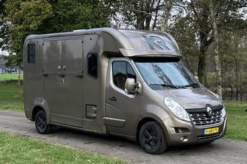 Renault Master Krismar d.cab  Horsetruck beschikbaar voor biedingen