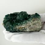 Geen veiling - Groene fluoriet op matrix Exemplaar - Hoogte:, Verzamelen, Mineralen en Fossielen