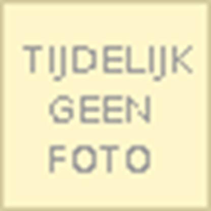 Gerhard Lentink | 9789076028033 | LENTINK, Gerhard, Boeken, Wetenschap, Zo goed als nieuw