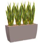 Sansevieria kunstplant, H110cm, Huis en Inrichting, Kamerplanten, Ophalen of Verzenden