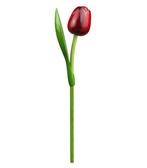 Houten tulp op steel 34 cm Red aubergine, Ophalen of Verzenden, Nieuw
