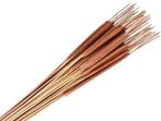 Typha sigaren rietsigaar naturel 65–75 cm ca. 50 stuks per, Ophalen of Verzenden, Nieuw