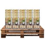 Moestuingrond pallet | 2520 L | Pokon (Bio-label, Turfvrij), Verzenden