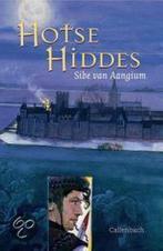 Hotse Hiddes 9789026611162 Sibe Van Aangium, Boeken, Verzenden, Gelezen, Sibe Van Aangium