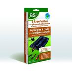 BSI KLEEFVAL VOOR SPINNEN 6 STUKS (INSECTENBESTRIJDING)