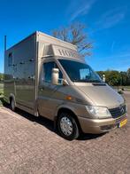 Prachtige Mercedes paardenwagen! Opbouw uit 2017!, Dieren en Toebehoren, Ophalen, Zo goed als nieuw, Polyester, 2-paards trailer