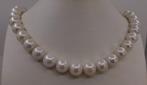Halsketting 11x13mm Ronde Witte Edison Parels, Nieuw