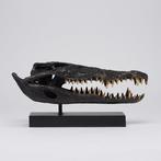 sculptuur, Saltwater Crocodile Skull fashioned in bronze, on
