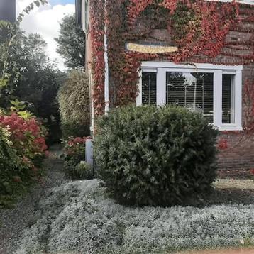 Eengezinswoning met tuin en huisruil mogelijkheid beschikbaar voor biedingen