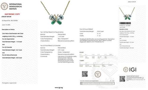 Halsketting - 14 karaat Geel goud - 1.58ct. tw. Aquamarijn -, Sieraden, Tassen en Uiterlijk, Kettingen