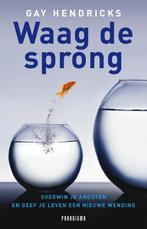 Waag de sprong 9789049960261 Gay Hendricks, Verzenden, Gelezen, Gay Hendricks