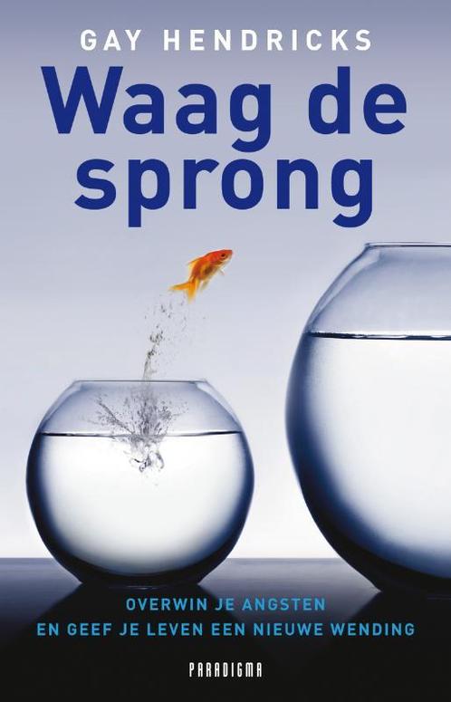 Waag de sprong 9789049960261 Gay Hendricks, Boeken, Psychologie, Gelezen, Verzenden