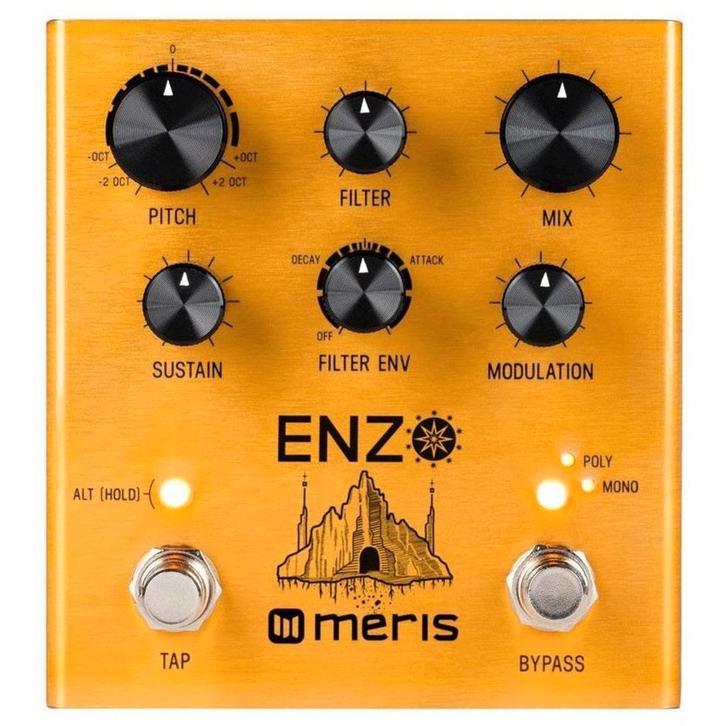 Meris Enzo Multi-Voice Instrument Synthesizer effectpedaal, Muziek en Instrumenten, Versterkers | Bas en Gitaar, Verzenden