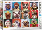 Funny Dogs Puzzel (1000 stukjes) | Eurographics - Puzzels, Verzenden, Nieuw