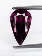 Zonder minimumprijs Spinel - 2.77 ct - Antwerp Laboratory, Nieuw