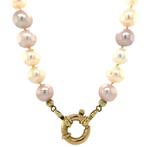 Parel collier met gouden sluiting 14 krt, Sieraden, Tassen en Uiterlijk, Kettingen, Ophalen of Verzenden, Nieuw