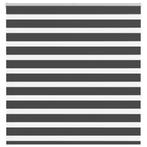 vidaXL Zebra rolgordijn 145x150 cm stofbreedte 140,9 cm, Verzenden, Nieuw, Zwart