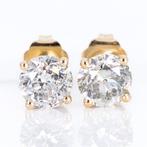 Zonder minimumprijs - Oorbellen - 14 karaat Geel goud -, Sieraden, Tassen en Uiterlijk, Oorbellen, Nieuw