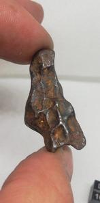 Prachtige Sikhote Alin, Regmaglypte. IJzer meteoriet -, Verzamelen, Mineralen en Fossielen