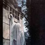 cd - Dead Can Dance - Within The Realm Of A Dying Sun, Cd's en Dvd's, Verzenden, Zo goed als nieuw