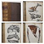 Thomas Strangeways (1824-1869) - Descriptive Anatomy of the, Antiek en Kunst, Antiek | Boeken en Bijbels