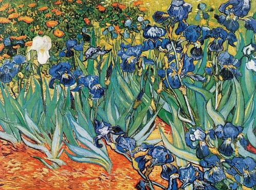 Kunstdruk Vincent Van Gogh - Iris 80x60cm, Huis en Inrichting, Woonaccessoires | Schilderijen, Tekeningen en Foto's, Nieuw, Verzenden