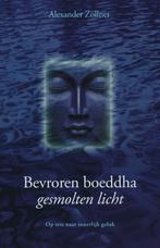 Bevroren Boeddha Gesmolten Licht 9789063786717 A. Zöllner, Verzenden, Gelezen, A. Zöllner