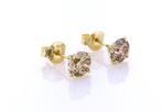 Oorbellen - 14 karaat Geel goud - 2.00ct. tw. Diamant, Nieuw