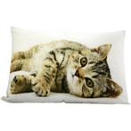 canvas kussen tabby liggend 35x50cm, Verzenden, Nieuw