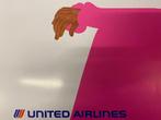 hopp - United Airlines Hawaii, Antiek en Kunst, Kunst | Tekeningen en Foto's