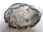 Kom - Bowl - versteend hout - kom