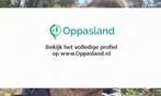 Daan zoekt een oppas in Soest voor 2 kinderen., Vacatures, Vacatures | Onderwijs, Wetenschap en Onderzoek