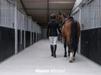 Nr.1 in Paardenboxen – Voorraad - Kwaliteit uit NL | Heass, Weidegang, 4 paarden of pony's of meer