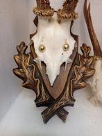Ree Schedel op een standaard - Capreolus capreolus - 18 cm -, Antiek en Kunst