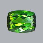 1 pcs Groen Toermalijn - 2.44 ct - nternational Colored, Nieuw