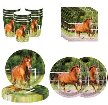 Paarden party set Beautiful Horse 44-delig