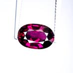 Zonder Minimumprijs Granaat - 3.60 ct - International, Nieuw
