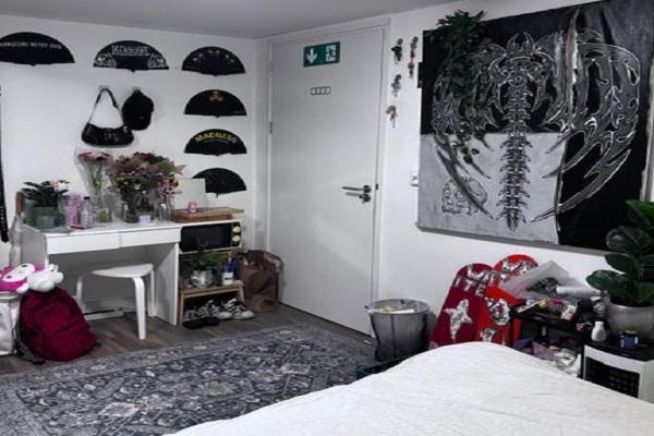 Kamer Haverstraatpassage in Enschede, Huizen en Kamers, Kamers te huur, 20 tot 35 m², Enschede