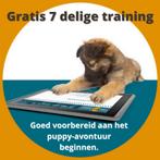 Gratis goed voorbereid puppytraining, Training of Cursus