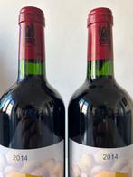 2014 Tenuta di Trinoro - Toscane - 2 Flessen (0.75 liter), Nieuw