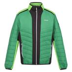 -75% Regatta  Regatta Heren halton vii contrast paneel gewat, Verzenden, Nieuw, Groen