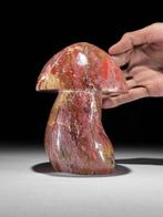 Geen minimumprijs - Handgesneden ruwe rode jaspis