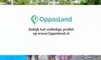 Anne zoekt een oppas in Nieuwegein voor 3 kinderen op vri..., Vacatures, Vacatures | Juridisch en Fiscaal