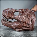 Uniek - Gigantische T-Rex-schedel van 40 kg van agaat uit, Verzamelen