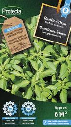 Protecta Groente zaden: Basilicum lemon, Tuin en Terras, Bloembollen en Zaden, Ophalen of Verzenden