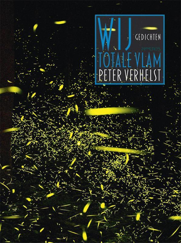 Wij totale vlam 9789044625202 Peter Verhelst, Boeken, Gedichten en Poëzie, Zo goed als nieuw, Verzenden