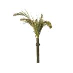 Panicum – Natuurlijke lekkernij voor vogels en knaagdieren -, Dieren en Toebehoren, Verzenden, Nieuw